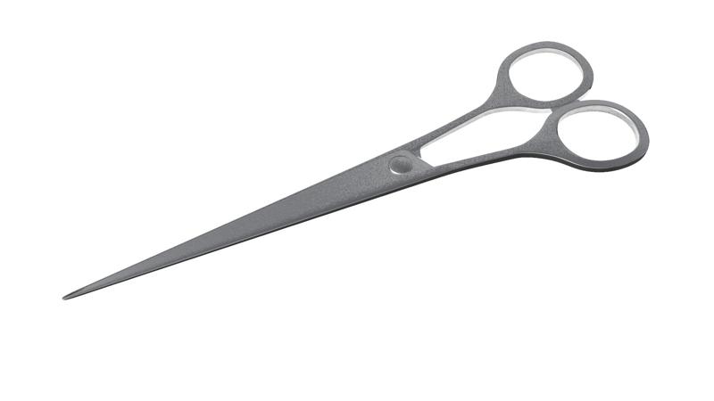 Surgical Scissors 3D Model