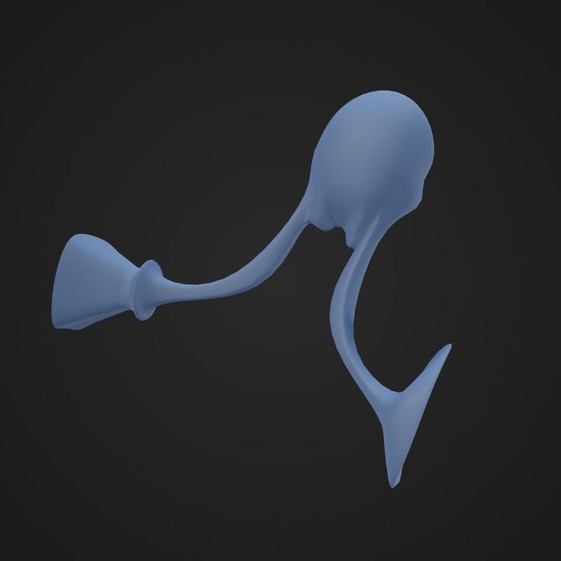 Auditory Bones