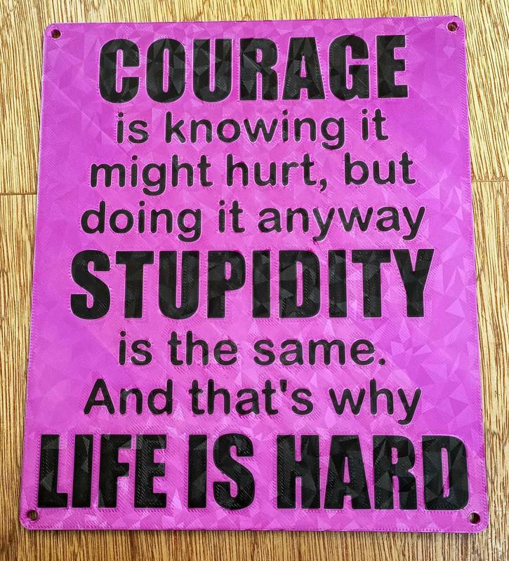 Funny Sign - "Courage is knowing it might hurt but doing it anyway..." Dual colour design
