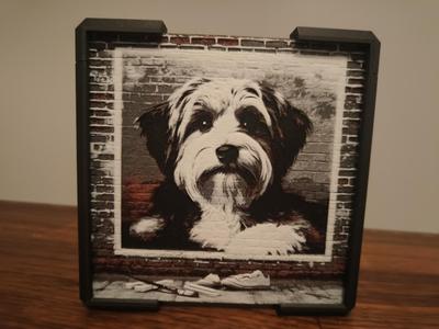 Urban-Tibet Terrier 
