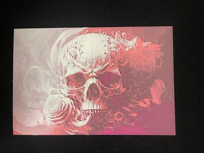 HueForge - Skull and Roses