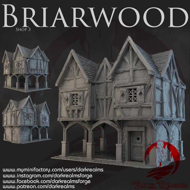 Dark Realms - Briarwood - Shop 3