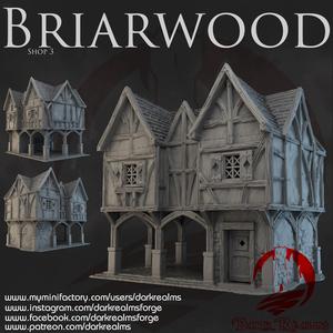 Dark Realms - Briarwood - Shop 3