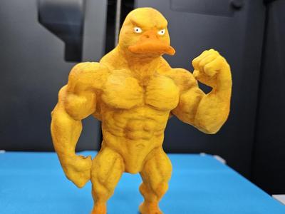 BUFF DUCK – The Bread-Bulked Beast