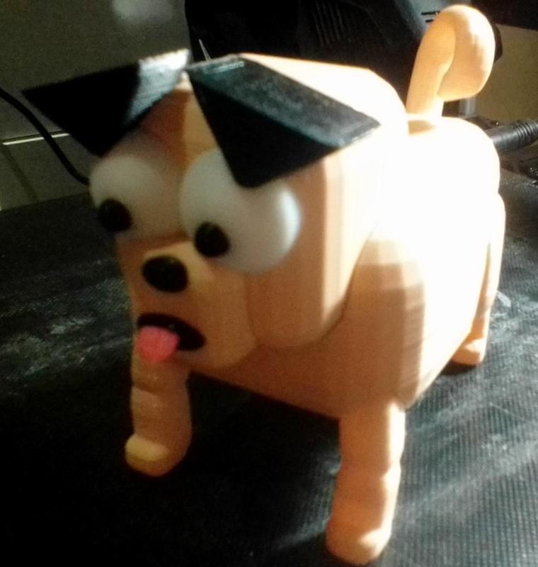 Pug Pup