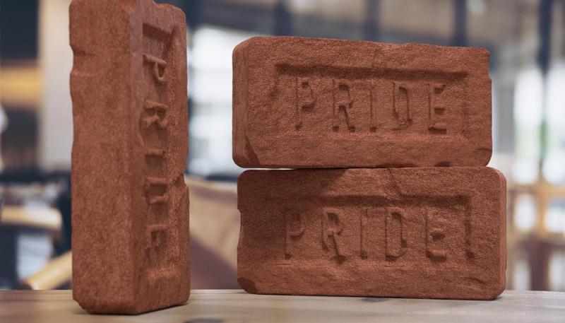 Pride Brick with Battle Damage - Embrace the Triumph of Identity