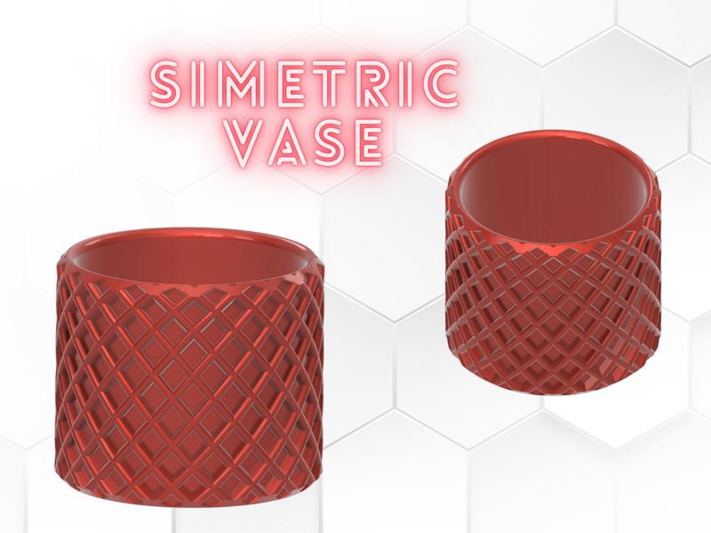 Simetric Vase/Pot