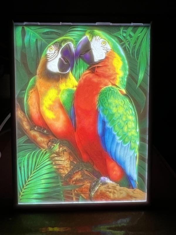 Bambu Color Litho Sample Prints