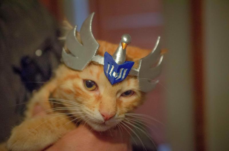 HYOGA CAT - HELMET