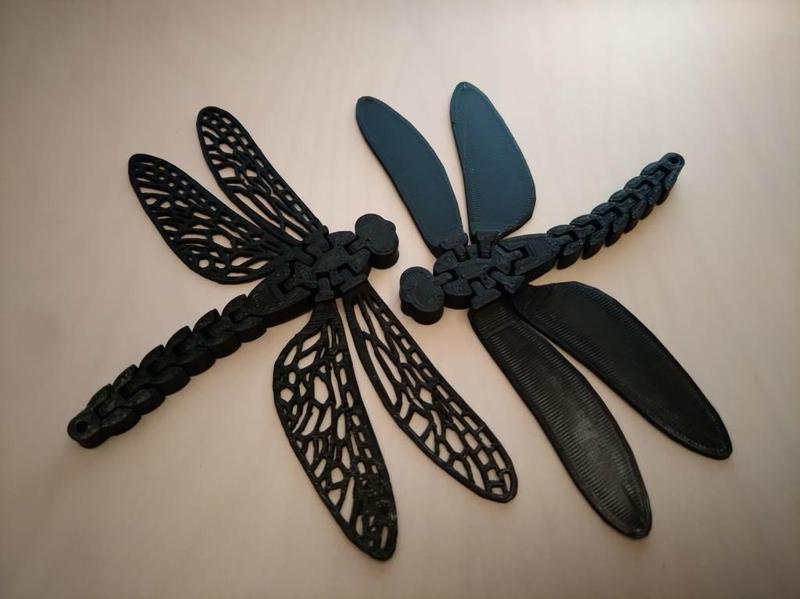 Floppy Dragonfly