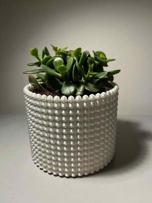 vase perls h=8cm, D=11cm