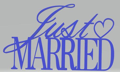 Just Married Wedding Decortion