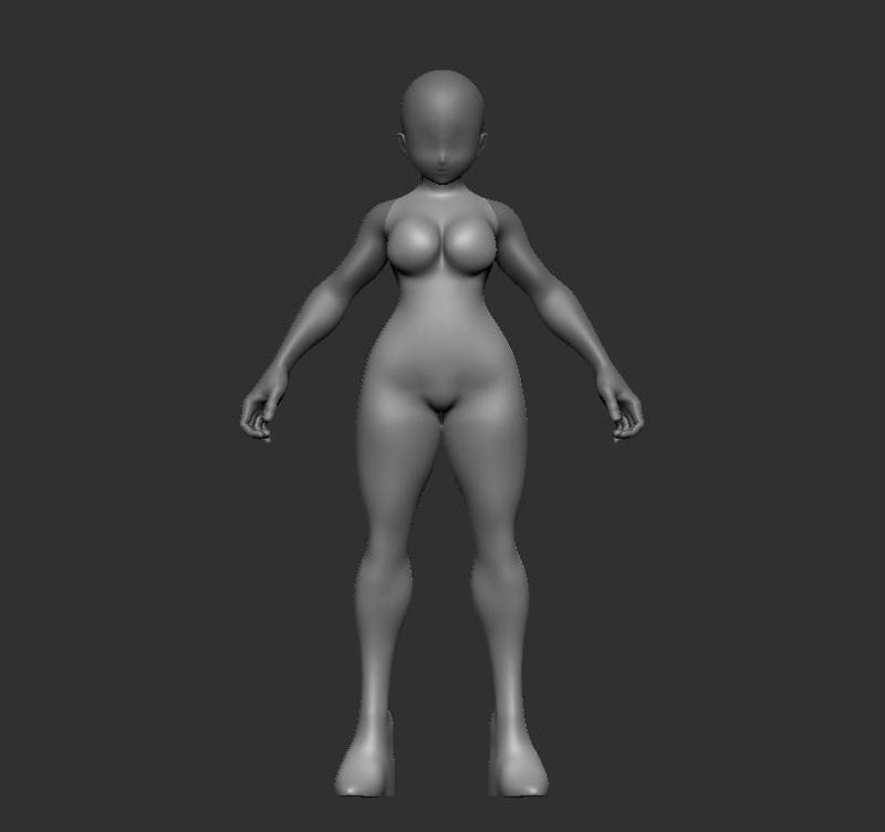 Anime Blank Figure