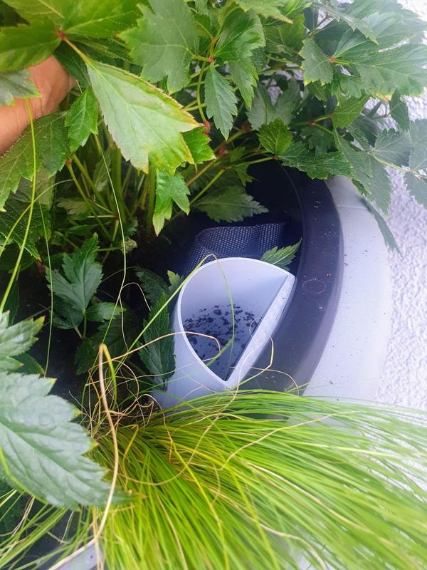 Trichter Blumentopf