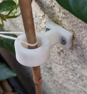 Bamboo support against wall