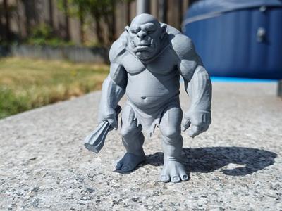 Chunky Cave Troll , Grumpy, Unreasonably Lovable