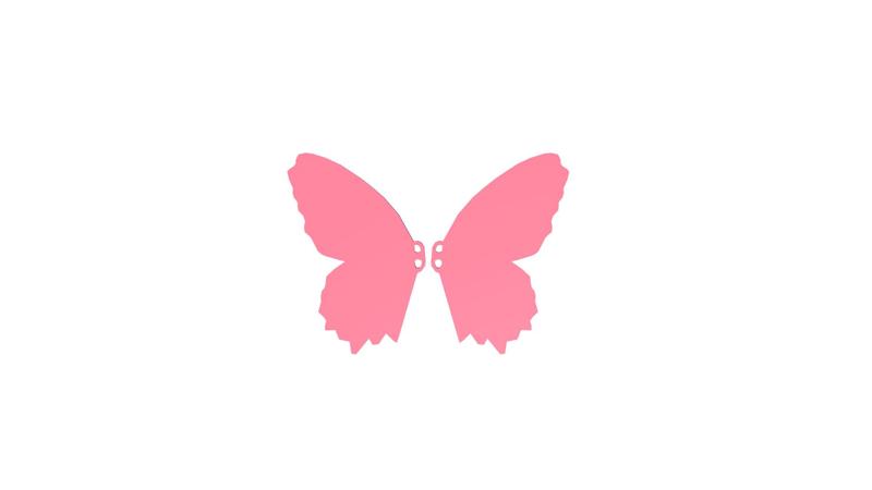 BUTTERFLY SHOE WINGS