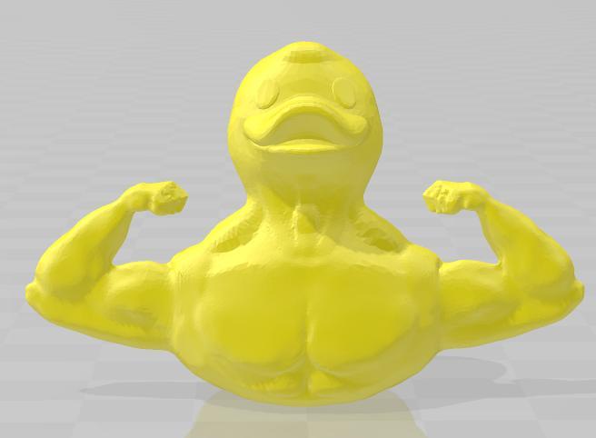 More Cohesive Muscle Duck