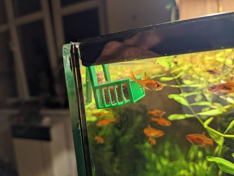 Fish frozen food feeder