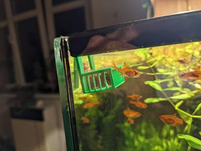 Fish frozen food feeder