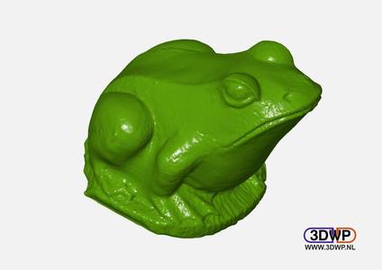 Frog Sculpture 3D Scan