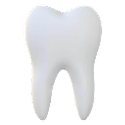 Human Tooth