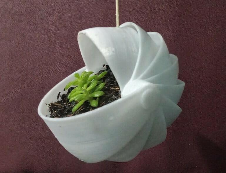 Folding Shell Hanging Planter