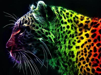 Colorful Panther Lithophane