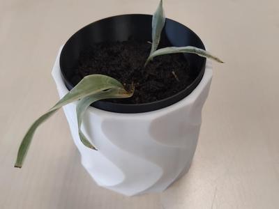 Vase with inner pot