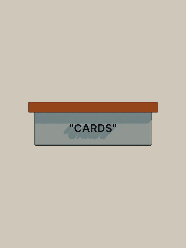 Sports Card Shoe Box Storage System