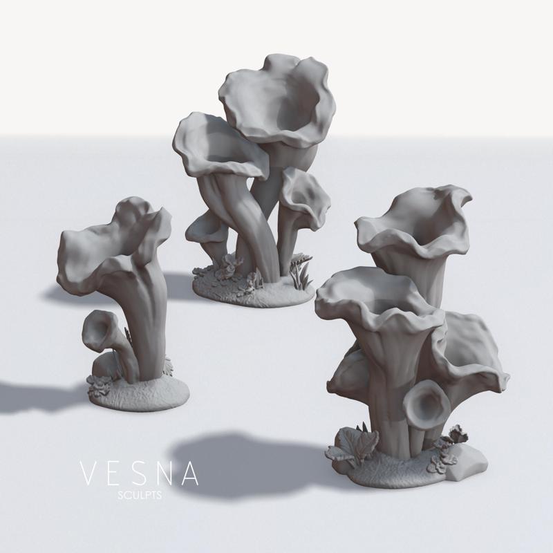 LARGE MUSHROOM (CRATERELLUS) PACK