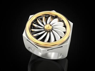 Ring turbine in nut 2