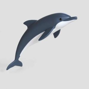 Playful Dolphin