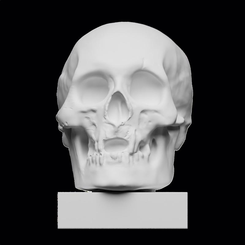 King Robert the Bruce's Skull