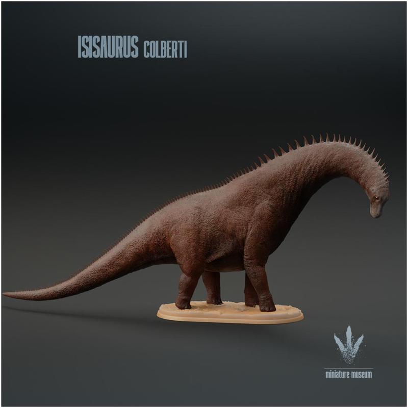 Isisaurus colberti : Looking Down