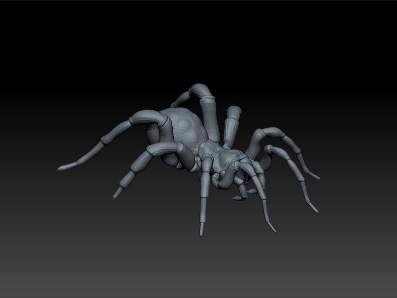 Spider