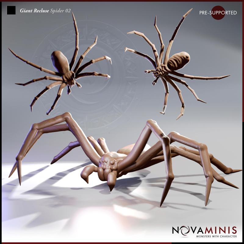 Giant Recluse Spider 02