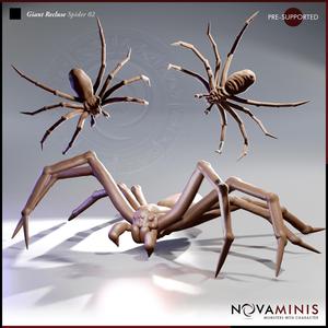Giant Recluse Spider 02