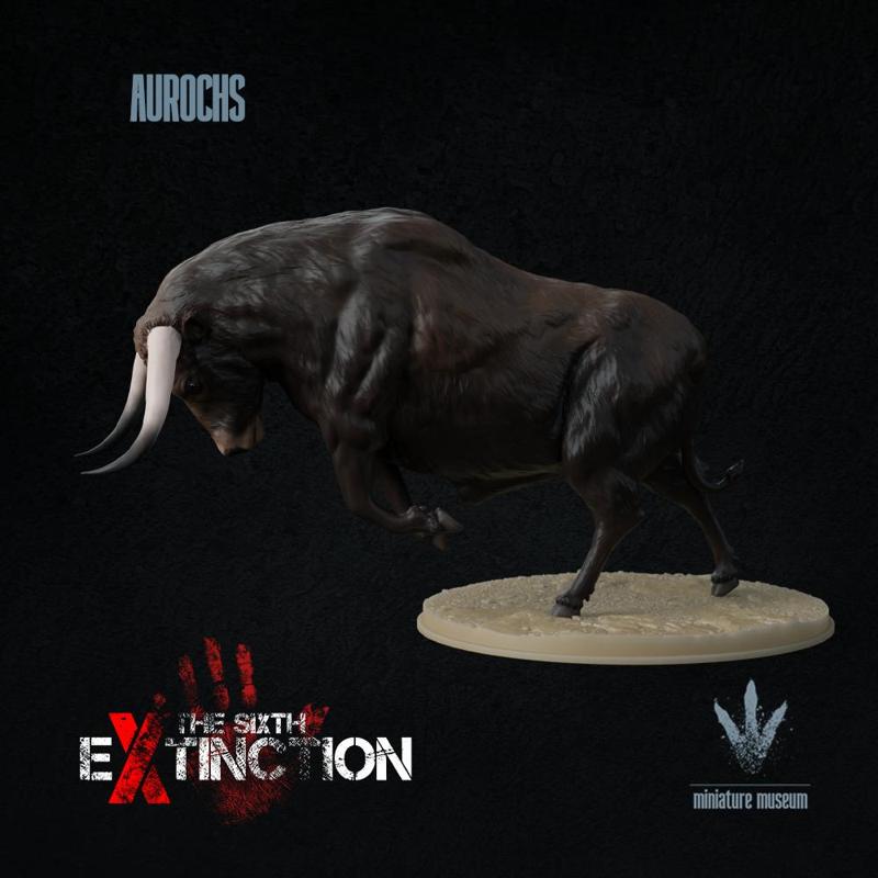 Aurochs : Bos primigenius
