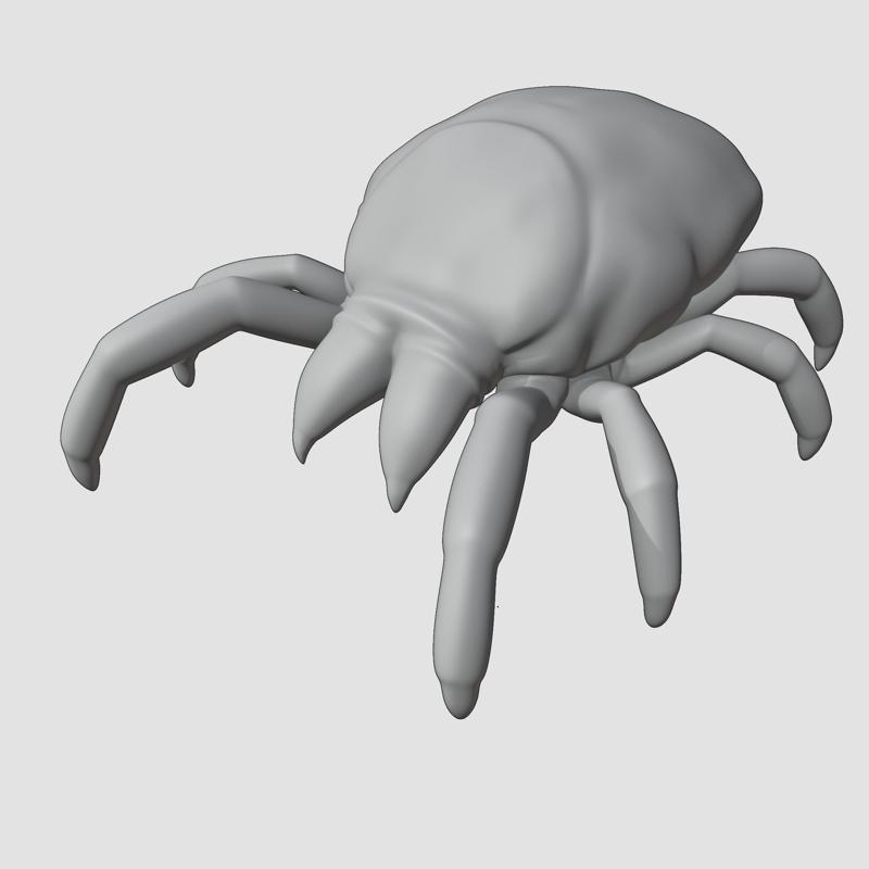 Mite 3 Insect