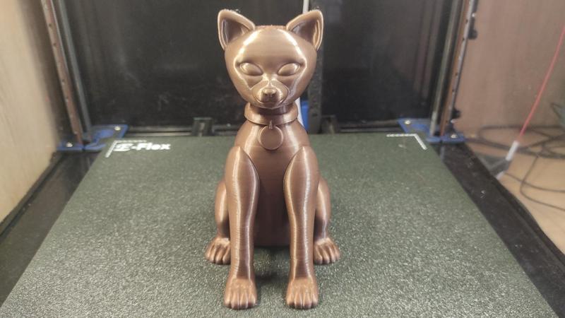 Cute Cat