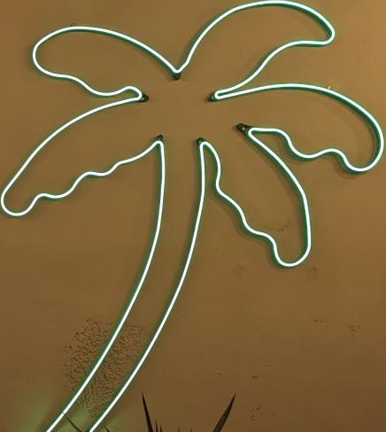 Palm Tree LED Sign