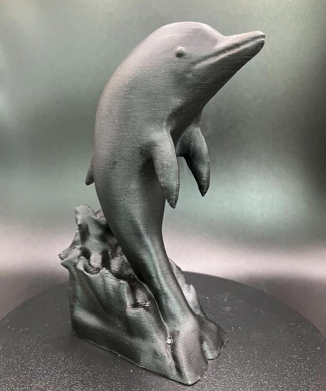 Dolphin