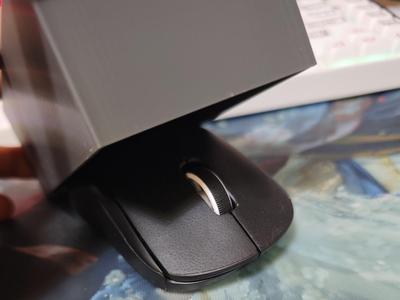 Logitech GPW2 Dust cover