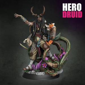 Battle of the Abandoned Village - Druid