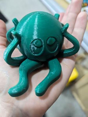 tpu Octopus
