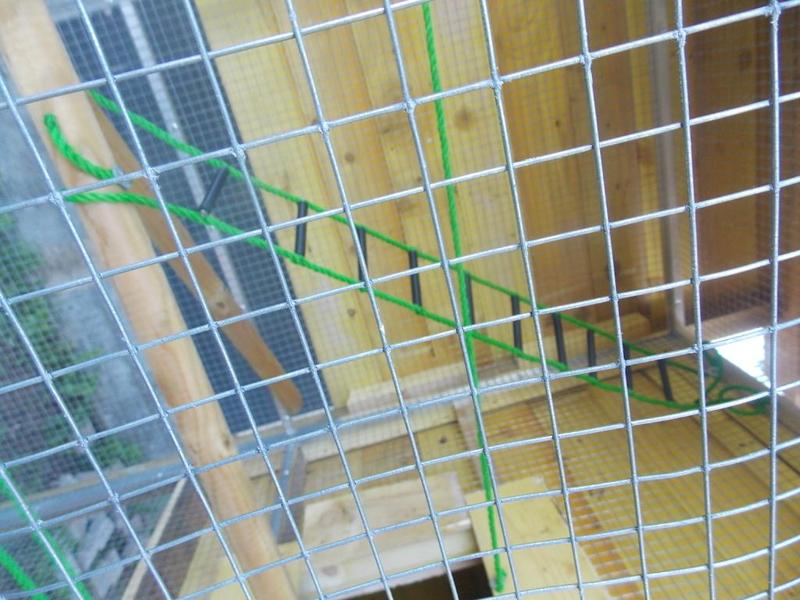 tube perroquet = parrot tube