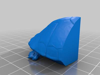 Trump Turtle Quad Segments 