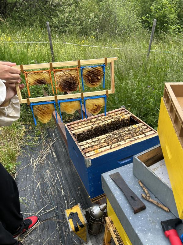 APIDEA support adaptater