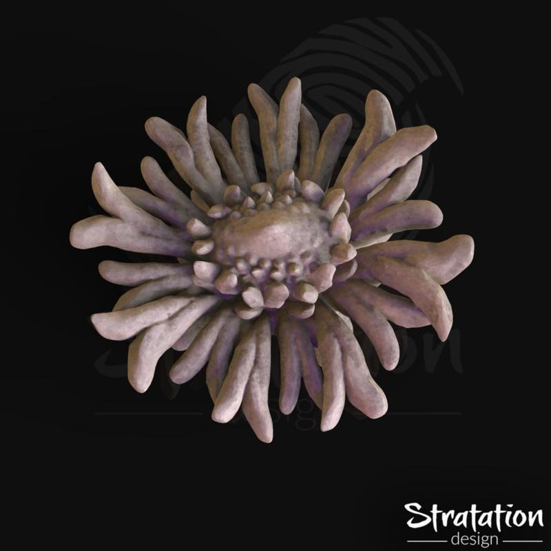 Abyssal Water Lily - V2